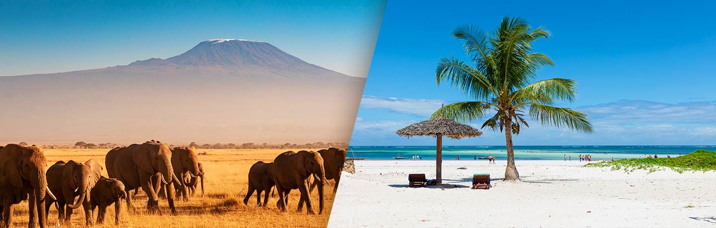 Des Hauteurs Du Kilimandjaro Aux Plages De Diani De La Tanzanie Au Kenya 3*