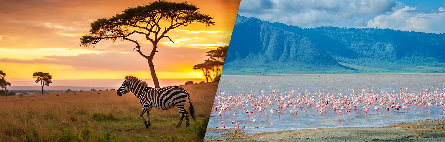 Safaris En Afrique Entre La Tanzanie Et Le Kenya 3*
