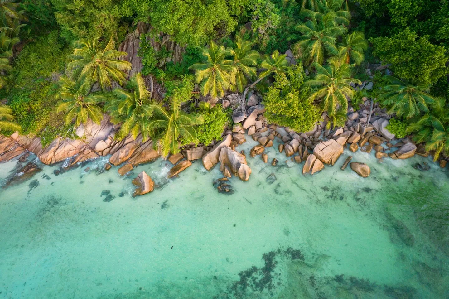 Niva Labriz Seychelles 5* 5*