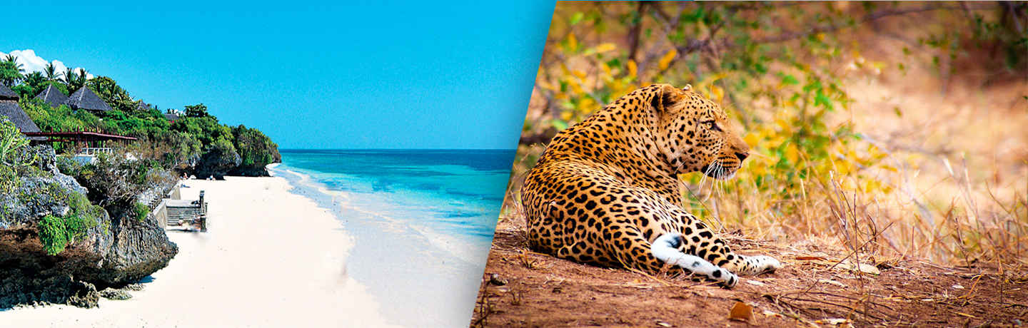 Combiné Leopard Beach Resort & Safari Eléphants Rouges 4*