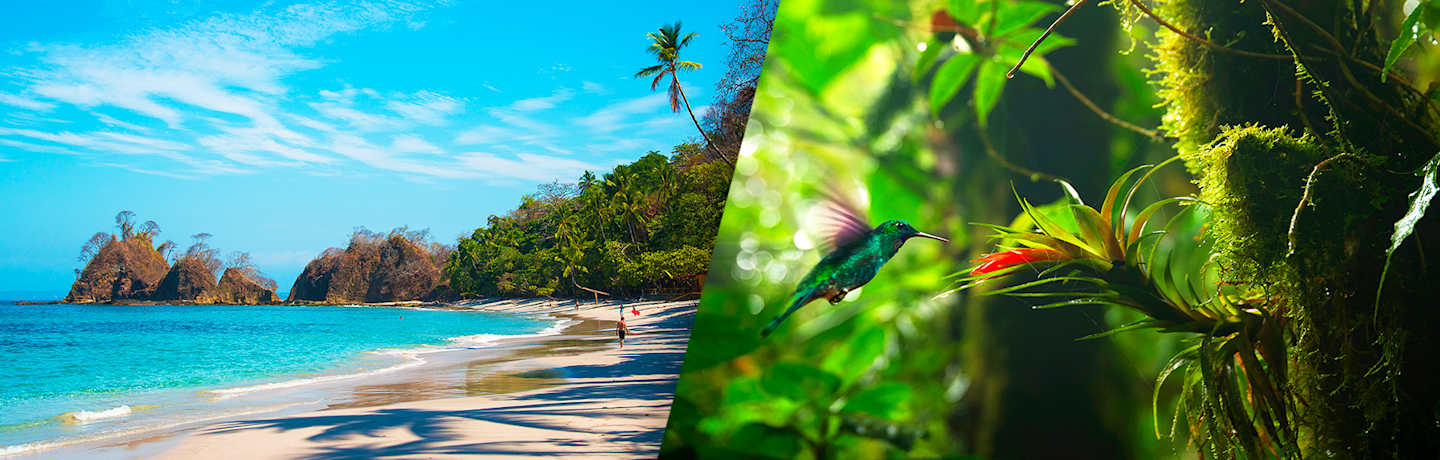 L'essentiel Du Costa Rica Avec Extension Balnéaire À Punta Leona