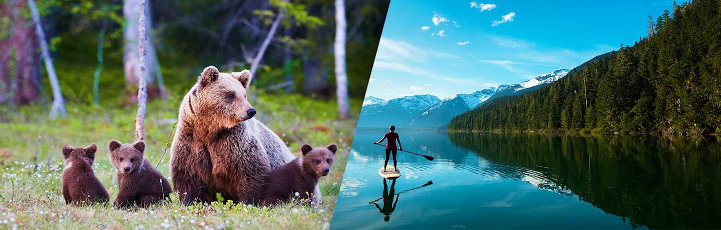 A La Découverte Du Québec Au Volant 3*