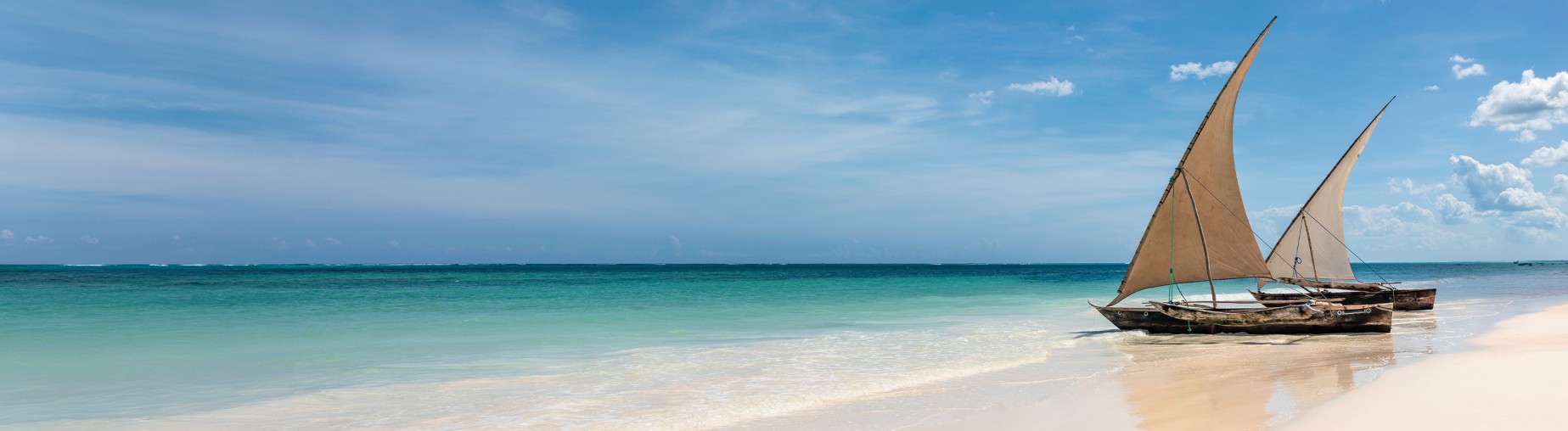 Découvrez notre sélection Tanzanie