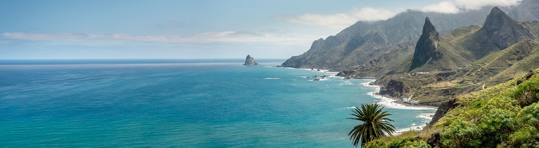 Découvrez notre sélection Canaries