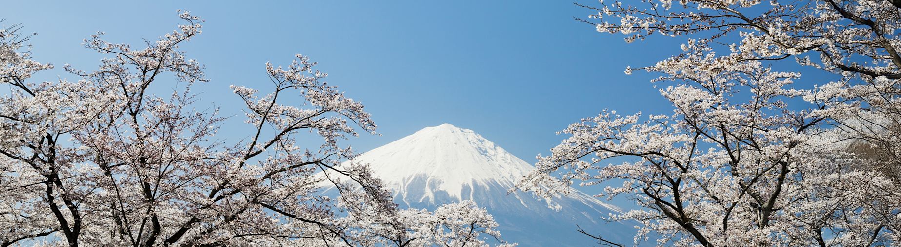 Découvrez notre sélection Japon