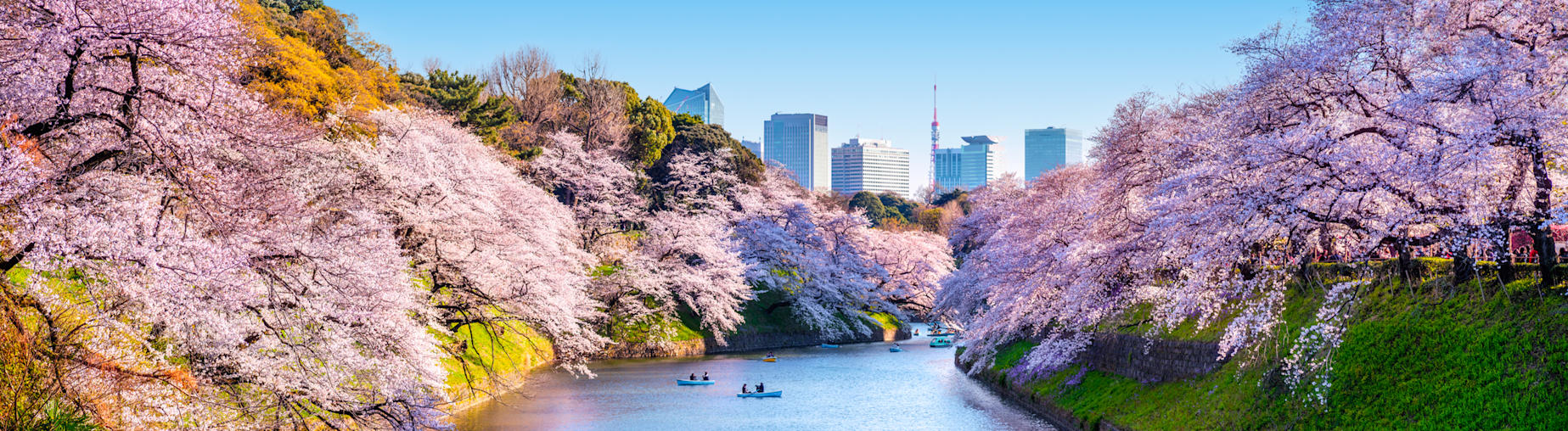 Découvrez toutes nos offres Japon