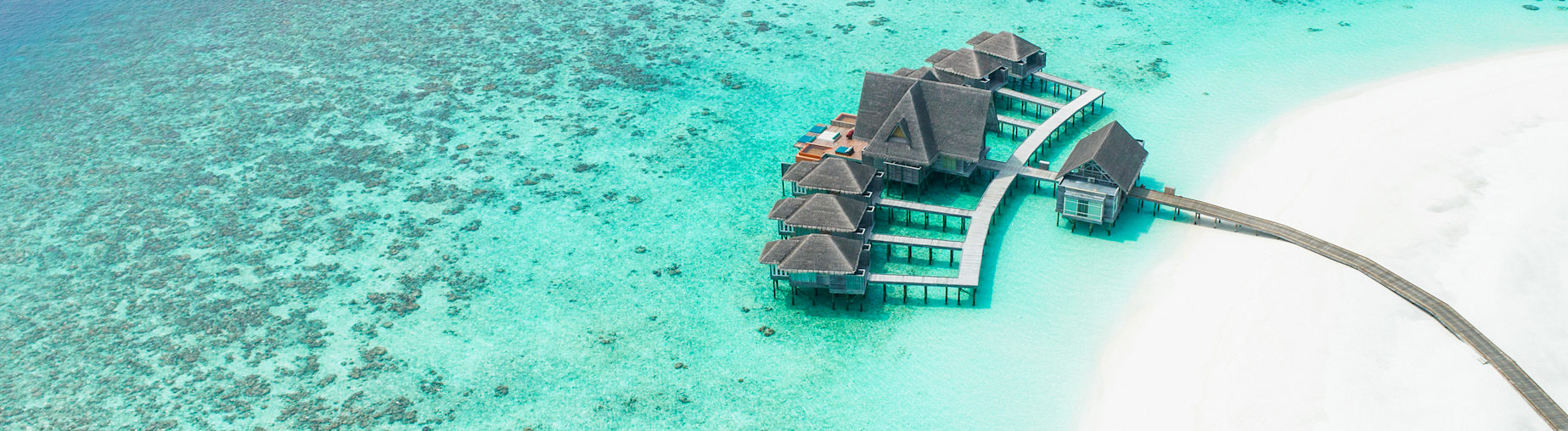 Découvrez toutes nos offres Maldives