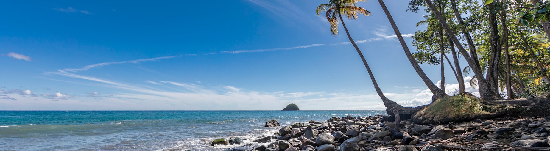 Découvrez toutes nos offres Martinique