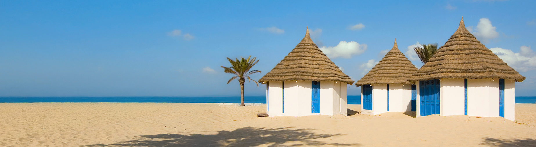 Découvrez toutes nos ventes Tunisie