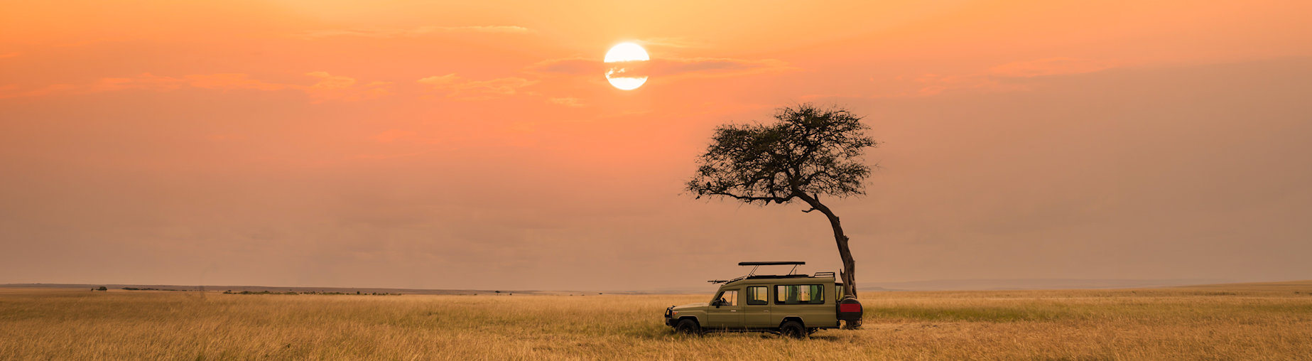 Découvrez nos safaris