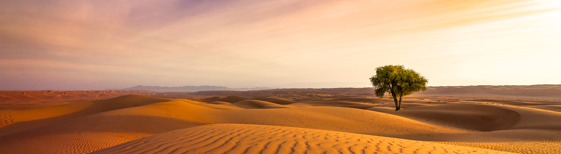 Découvrez toutes nos offres Oman