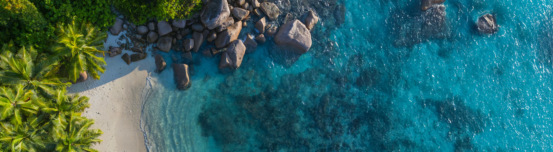 Découvrez toutes nos offres Seychelles