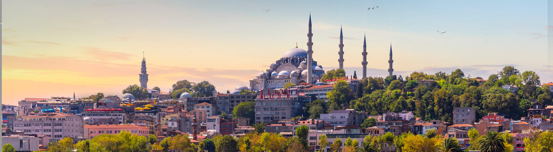 Découvrez toutes nos ventes Turquie