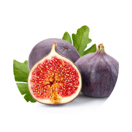 KIT Higo - Fig KIT Higo - Fig