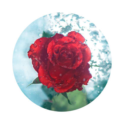 KIT Rosa LIGERA - LIGHT KIT Rosa LIGERA - LIGHT