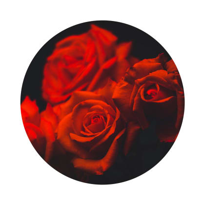 KIT Rosa OSCURA - DEEP KIT Rosa OSCURA - DEEP