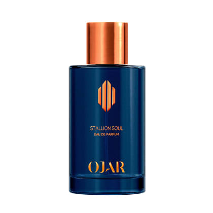 STALLION SOUL STALLION SOUL