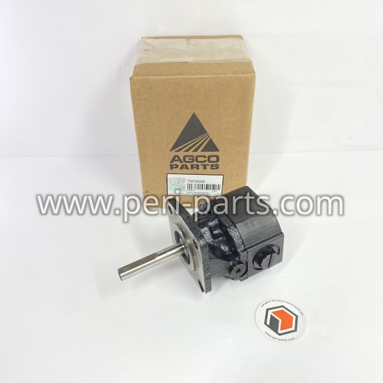 700729246 Agco HYDRAULIC MOTOR-