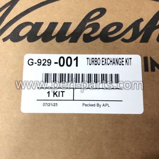 G-929-001 Waukesha TURBO EXCHANGE KIT