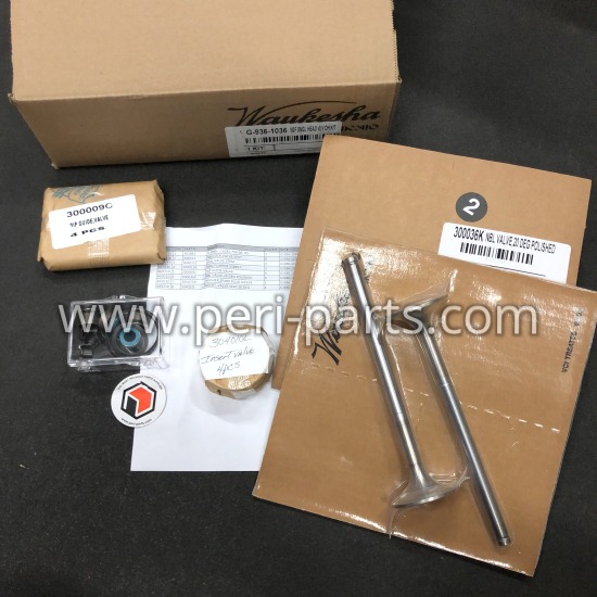 G-936-1036 Waukesha VGF SNGL HEAD VLV OH KIT