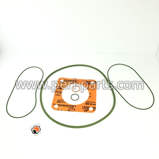 325197A Waukesha SEALS KIT, FM600