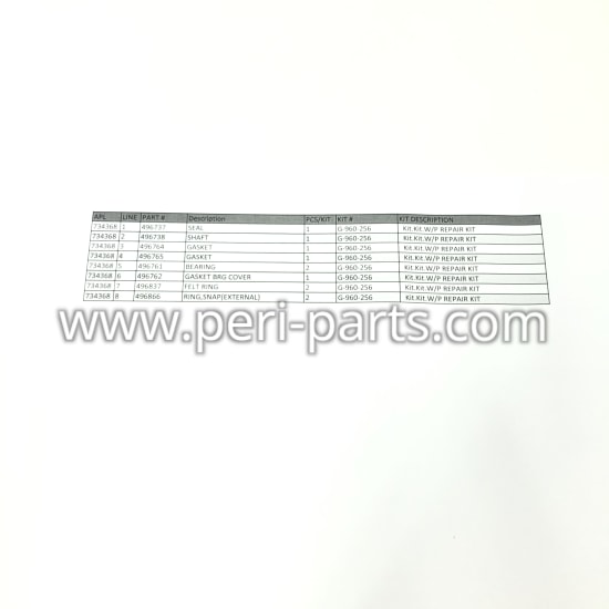 G-960-256 Waukesha W/P REPAIR KIT