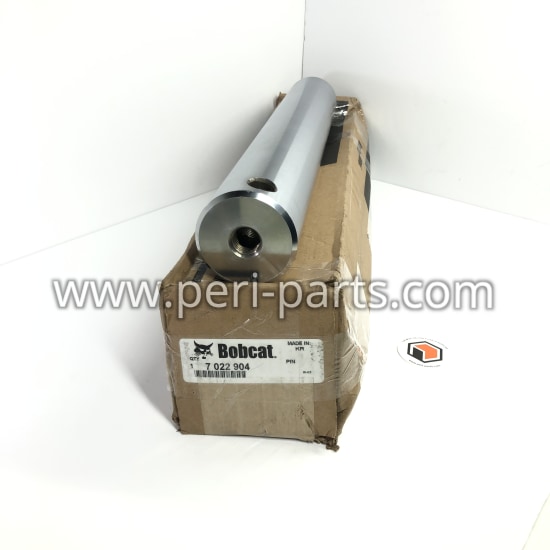 7022904 Bobcat PIN