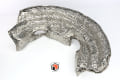 296546B Waukesha INSULATION, TURBO TUBE BTM (RING), RIGHT