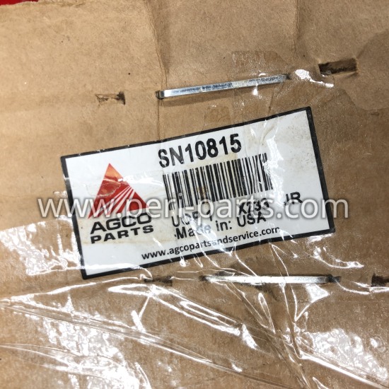 SN10815 Agco HYD CYLINDER-3-3