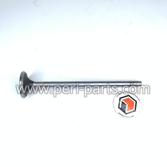 2481467 Caterpillar VALVE-EXHAUS