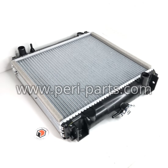 6243822M92 Agco RADIATOR