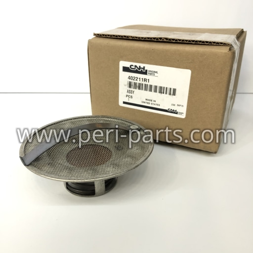 402211R1 CNH / Case New Holland VALVE