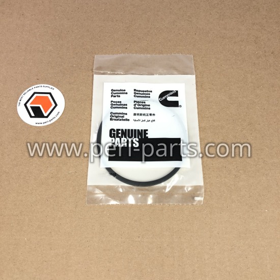 3910530 Cummins SEAL,RECTANGULAR RING
