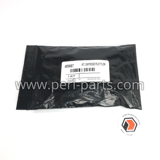 489667 Waukesha KIT, CARTRIDGE PILOT FLOWGRID