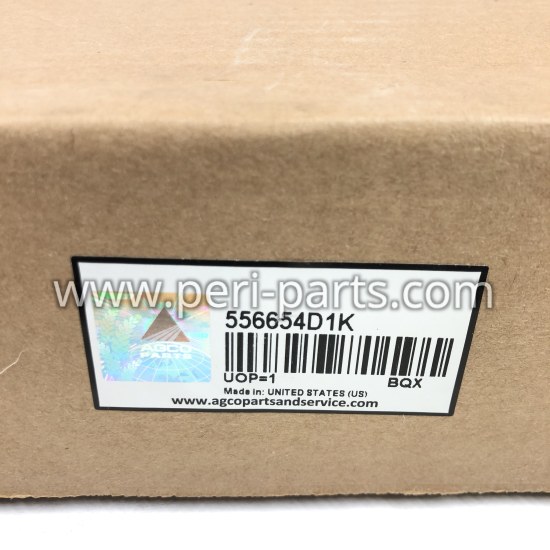 556654D1K Agco CAB FILTER