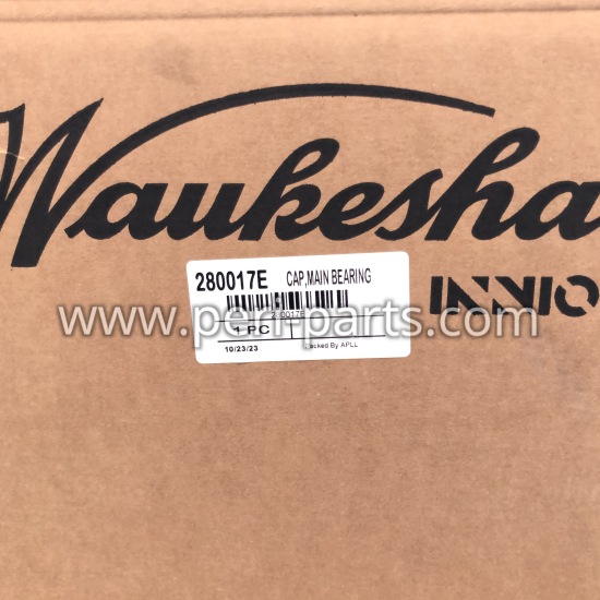 280017E Waukesha CAP, MAIN BEARING