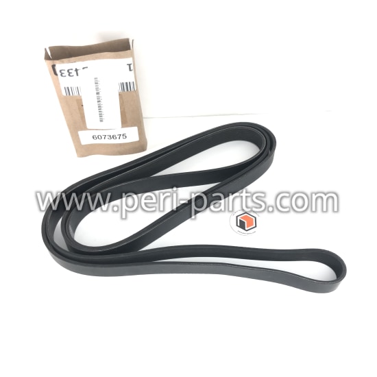 6073675 Caterpillar V-BELT