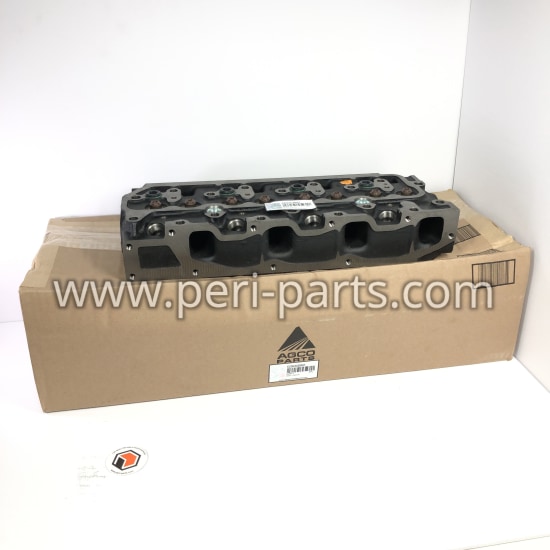 6256302M97 Agco CYLINDER HEAD-AS