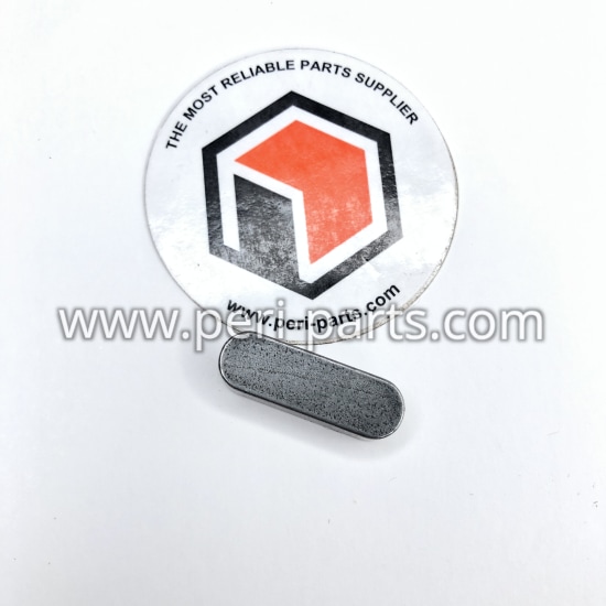 170005 CNH / Case New Holland KEY (PACK 10)