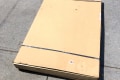 Bobcat 7374504 Left Door Glass - Genuine Green Tinted Tempered Safety Glass