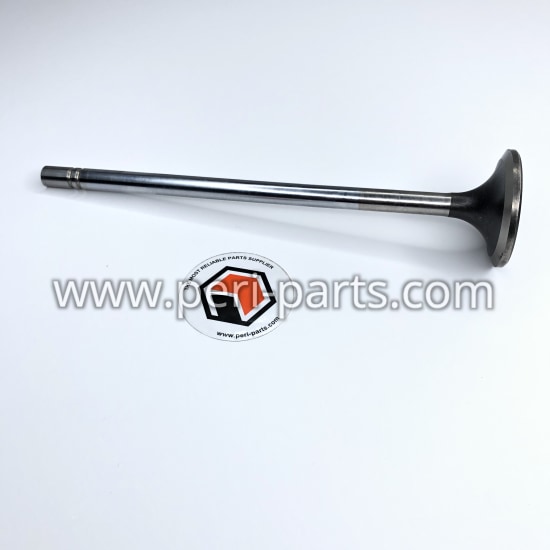 4907199 Caterpillar VALVE-INTA