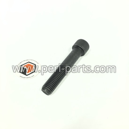 95834 Roadtec Screw 3/4"-10 X 4" Soc.hd.
