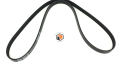 3094909 Cummins BELT,V RIBBED