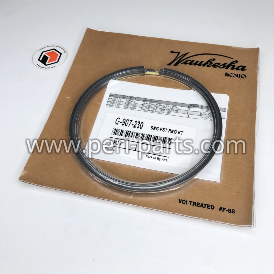 G-907-230 Waukesha SNG PST RNG KT