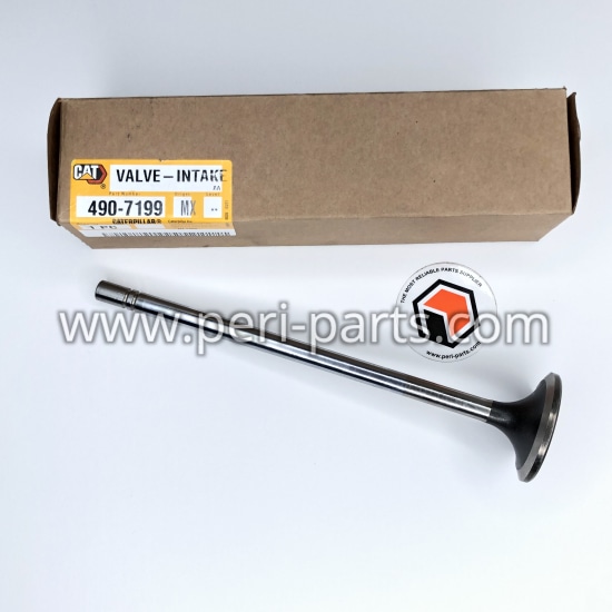 4907199 Caterpillar VALVE-INTA
