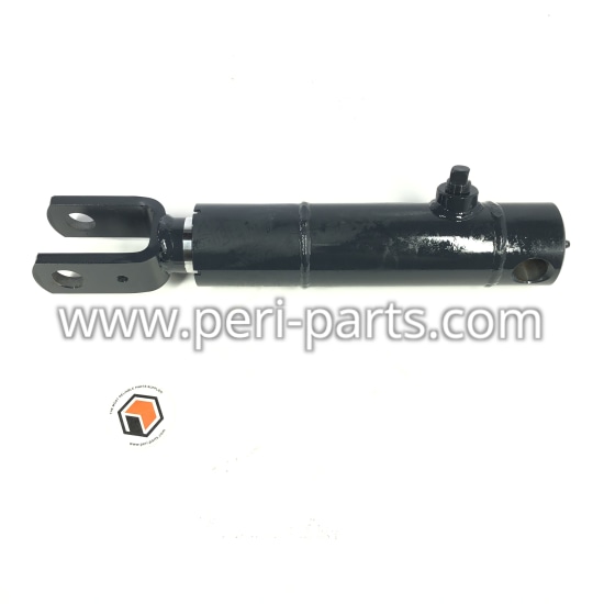 6259889M91 Agco CYLINDER-109