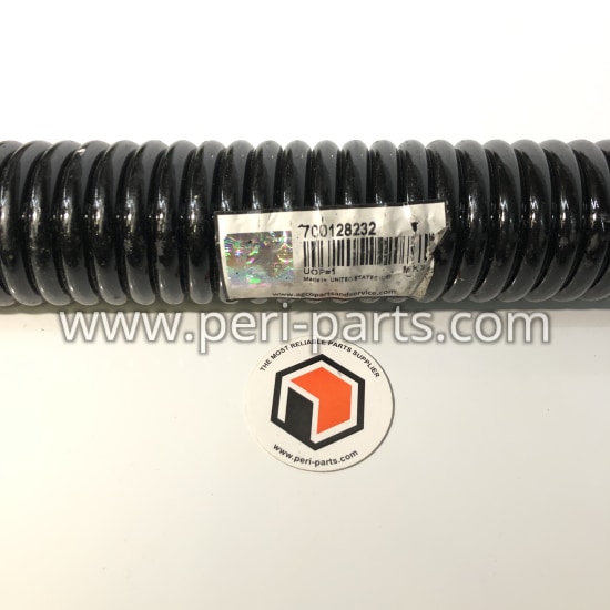 700128232 Agco SPRING