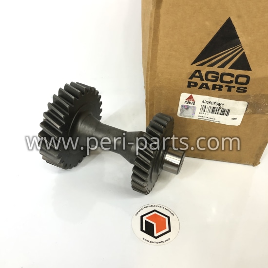 4266073M1 Agco GEAR