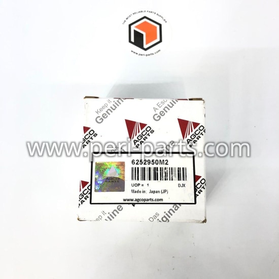 6252950M2 Agco BEVEL GEAR-Z = 1