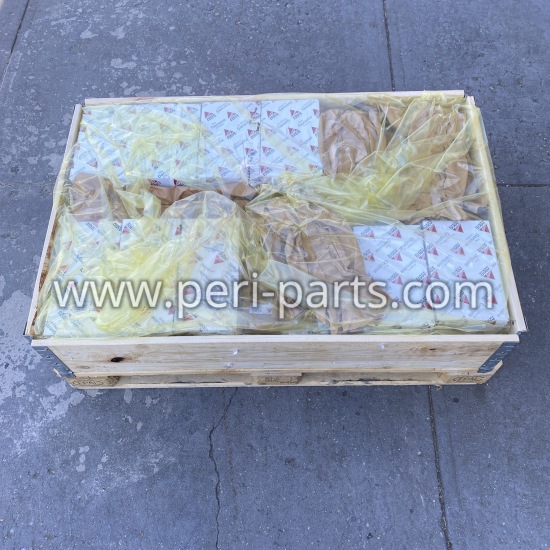 ACP0589330 Agco OVERHAUL KIT-74